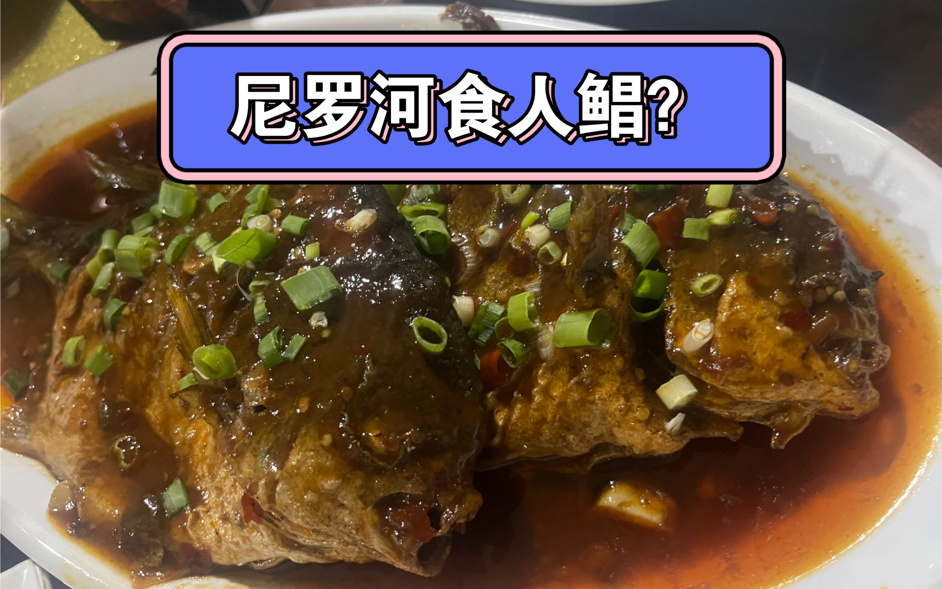 我在非洲吃过的各种黑暗料理合集!食人鲳,野猪,野牛,整个人都不好了