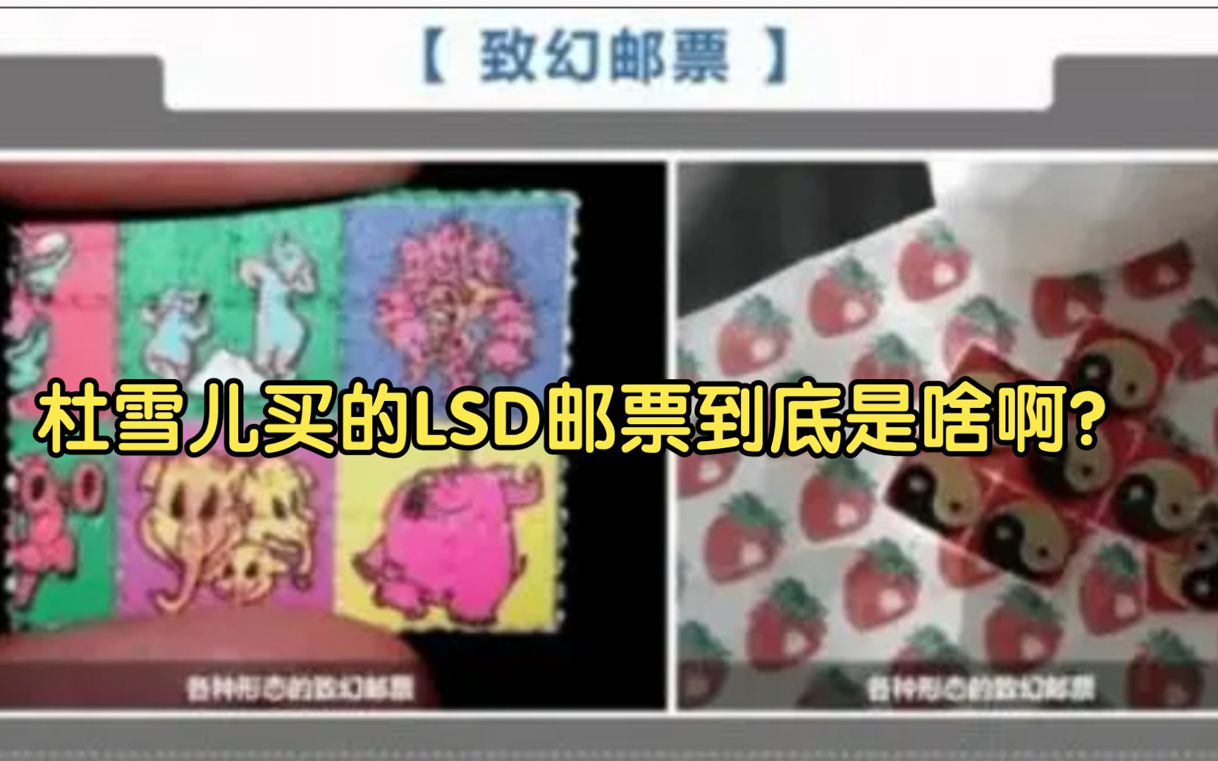 有人这两天总问我杜雪儿买的邮票状“LSD”是个啥?哔哩哔哩bilibili