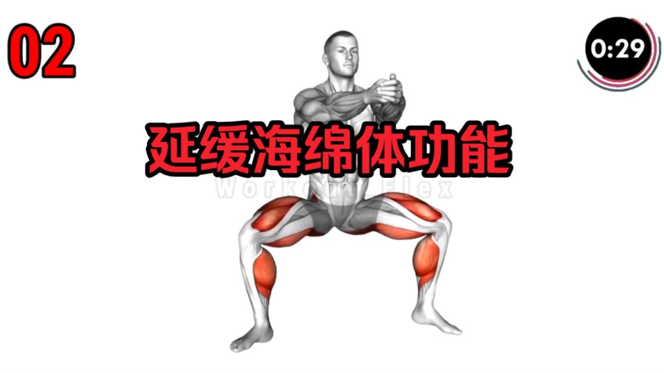 延缓强化海绵体功能,男人必练动作