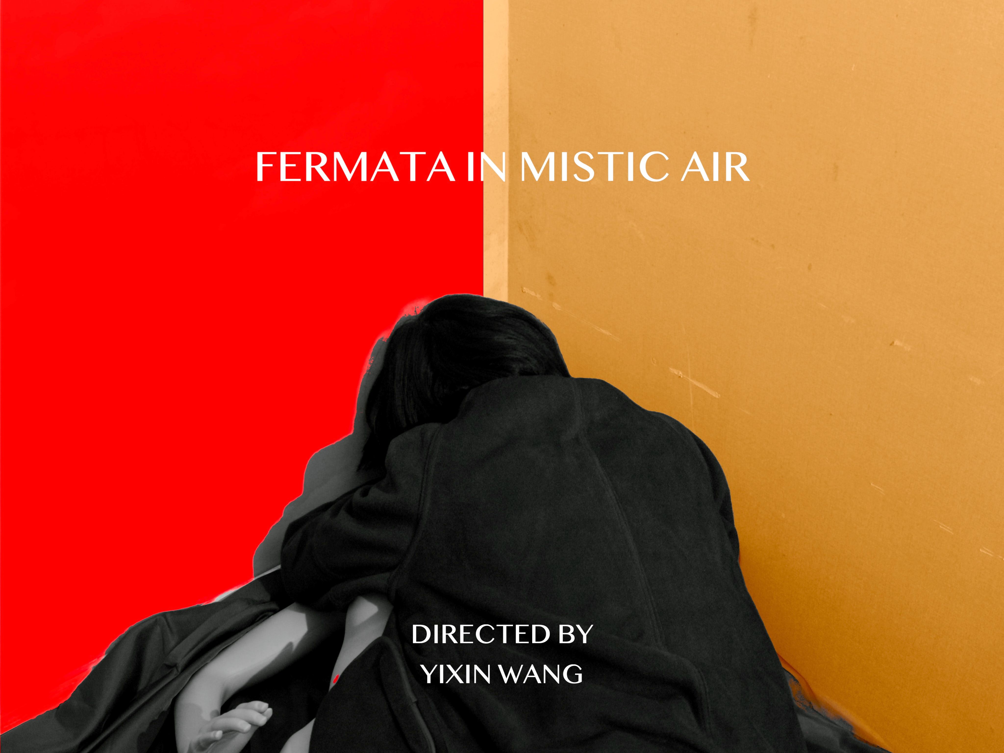 2024实验电影 FERMATA IN MISTIC AIR 导演:王奕心哔哩哔哩bilibili