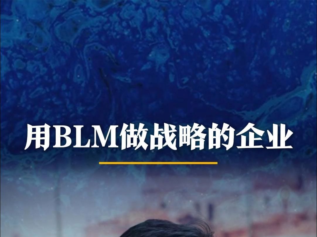 用BLM做战略的企业哔哩哔哩bilibili