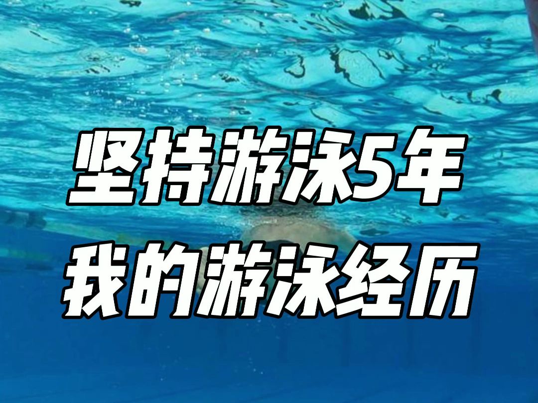 坚持游泳5年,我的游泳经历哔哩哔哩bilibili