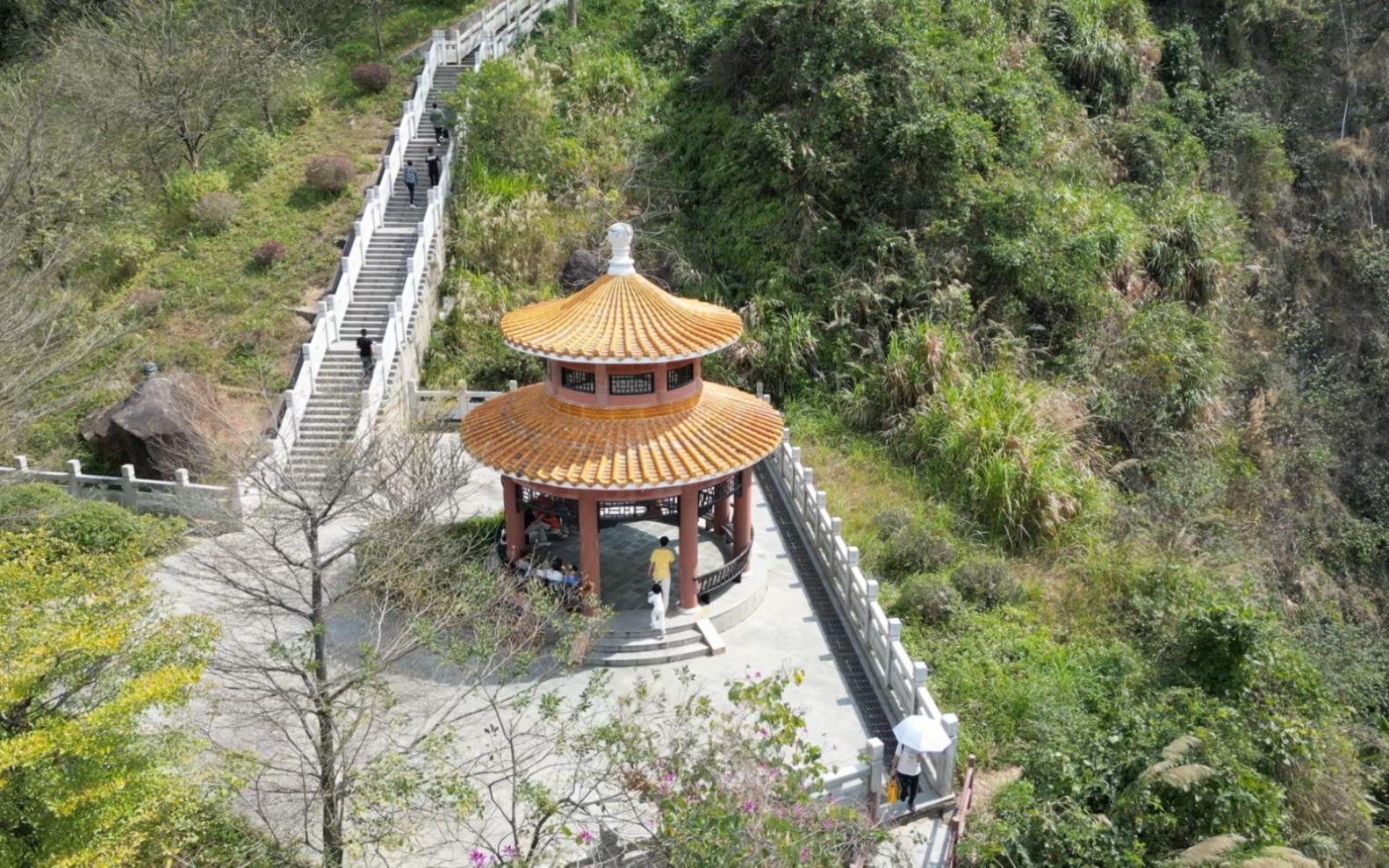 水濂山森林公园半山停