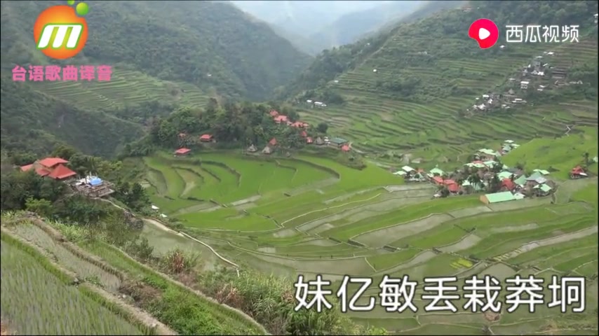 [图]爱情就像一阵风。