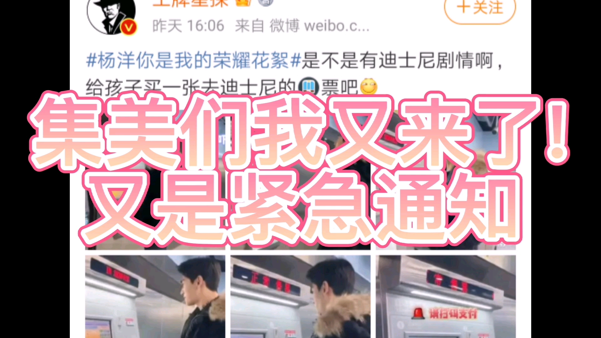 [图]【紧急通报】杨洋和迪丽热巴8.14七夕在上海迪士尼合体!?!真假的我天!