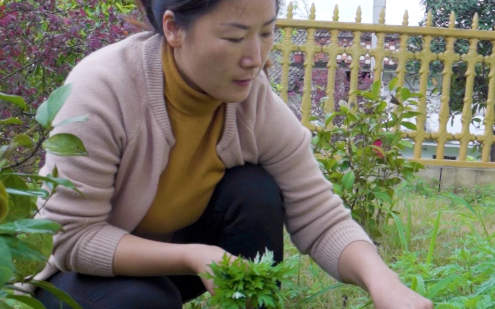 吃野菜的季节怎么能少的了艾草团子呢?和珍珍摘一些艾草,换个特别吃法,做个鲜香软糯的艾草团哔哩哔哩bilibili