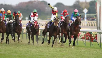 赛马 特别周之女 Cesario 西沙里奥 05日本橡树大赛 G1 最后600m33 3秒冲刺 哔哩哔哩 Bilibili