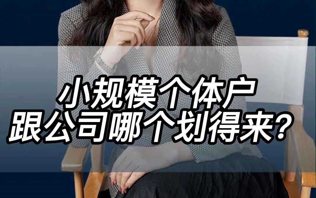 小规模个体户跟公司哪个划得来?哔哩哔哩bilibili