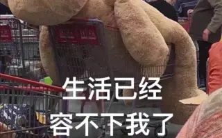 渡人渡己 搜索结果 哔哩哔哩 Bilibili