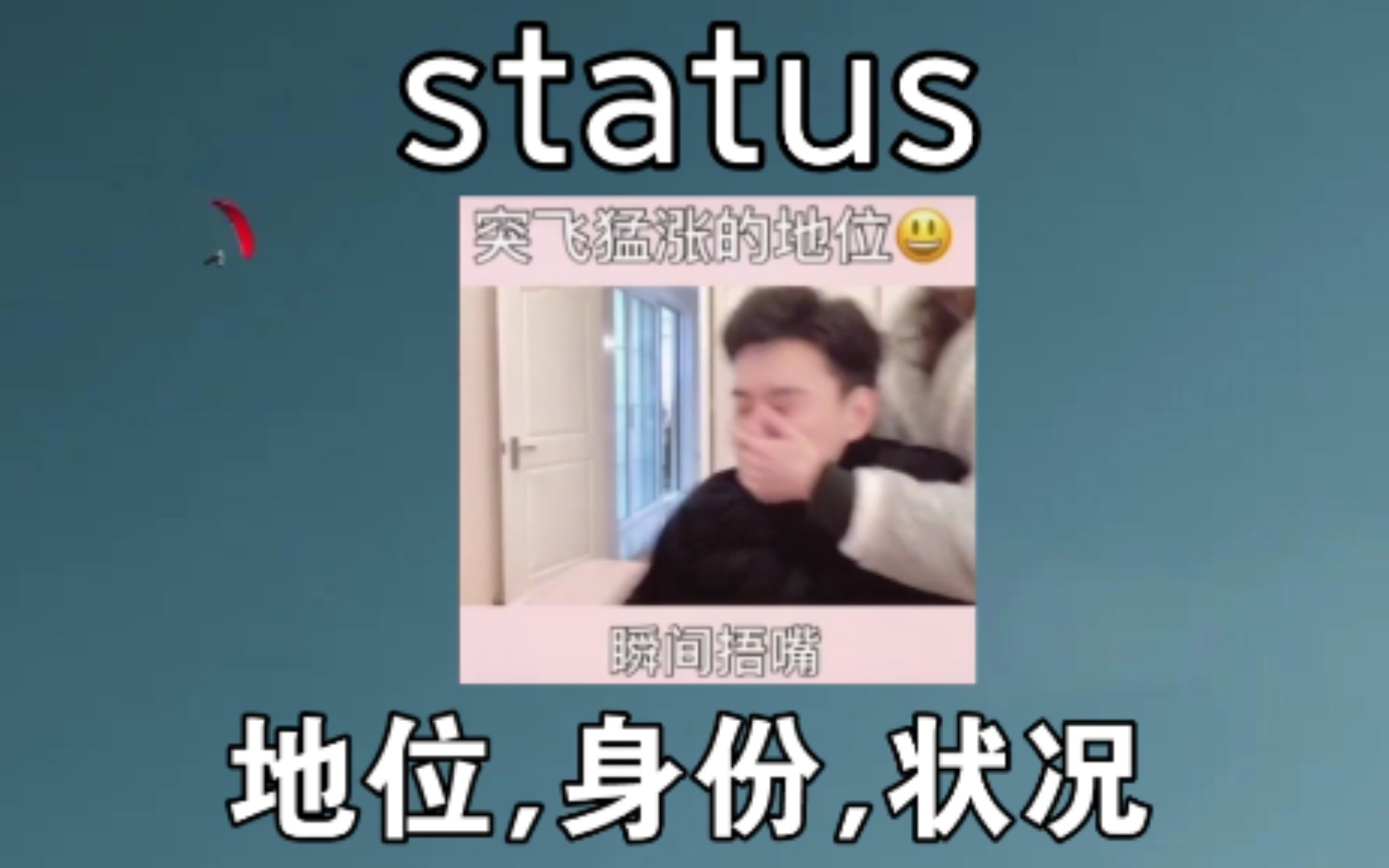 [初高中单词] 地位 status哔哩哔哩bilibili