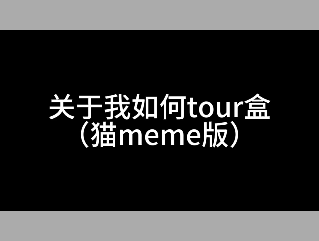 关于我如何tour盒(猫meme版)哔哩哔哩bilibili