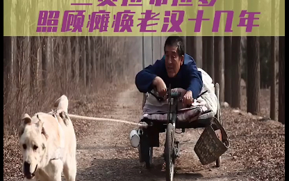 忠爱无言1