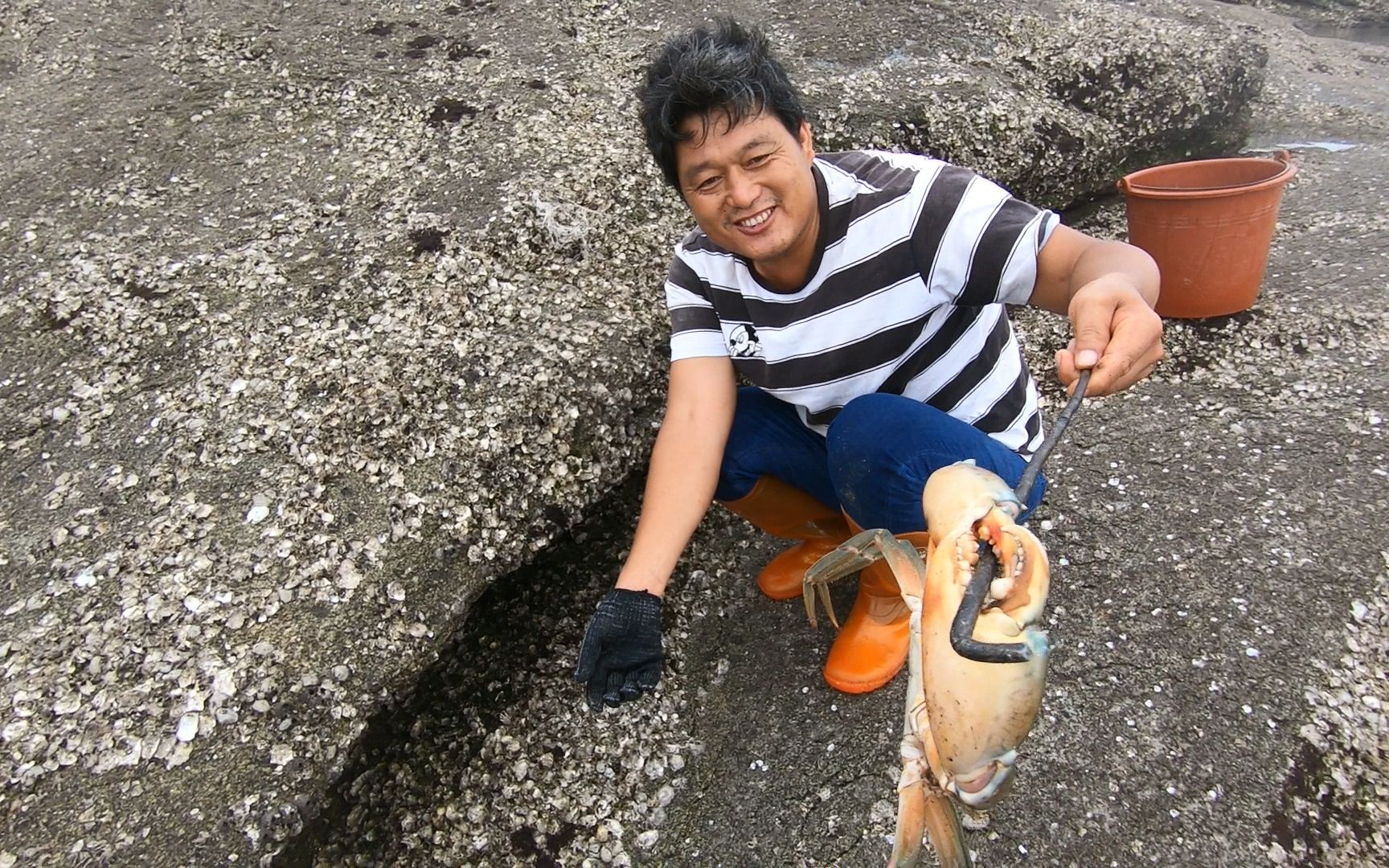 大浪天阿阳来海边赶海捡货,一只大青蟹就够本了,今天收获不错