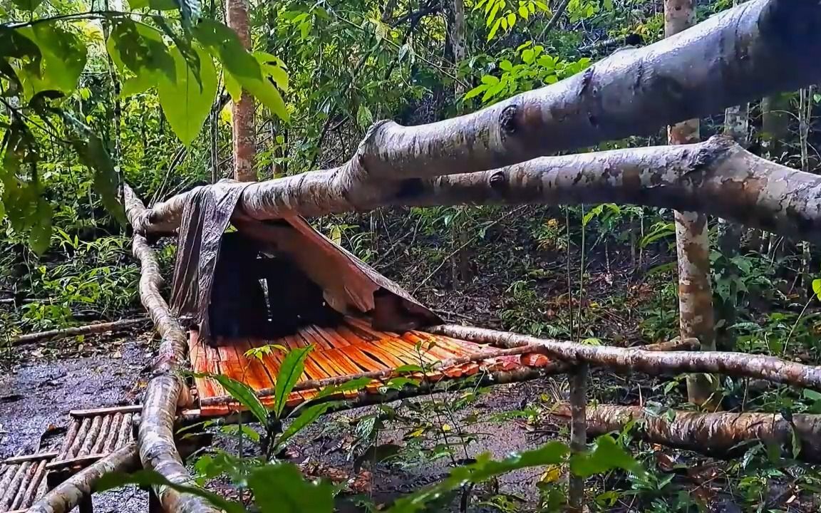 【野外露营】一颗倒下的大树,在这雨中竟成就了这临时的避雨场所哔哩哔哩bilibili