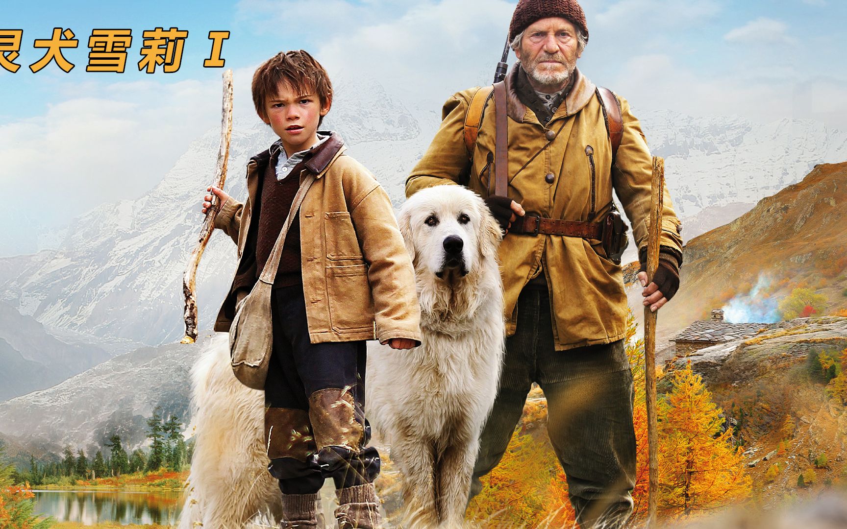 《灵犬雪莉Ⅰ》男孩冒险救下流浪狗,从此不离不弃,好忠诚的大白熊犬