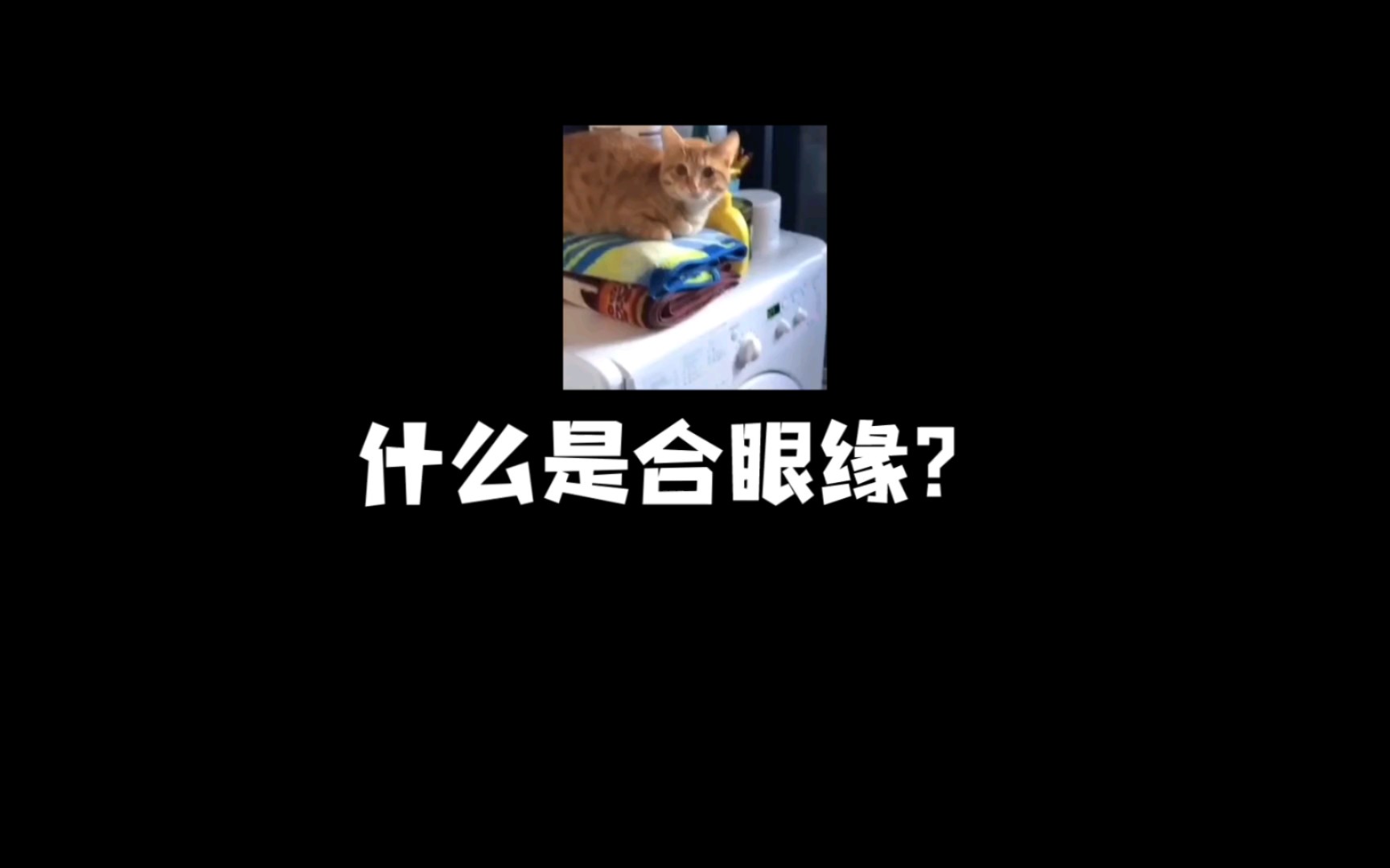 什么是合眼缘?哔哩哔哩bilibili