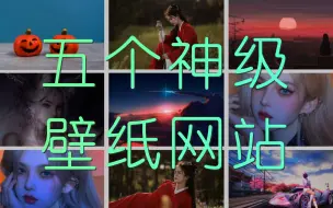 下载视频: 4k、8K、横屏、竖屏，都是我珍藏已久的壁纸网站！