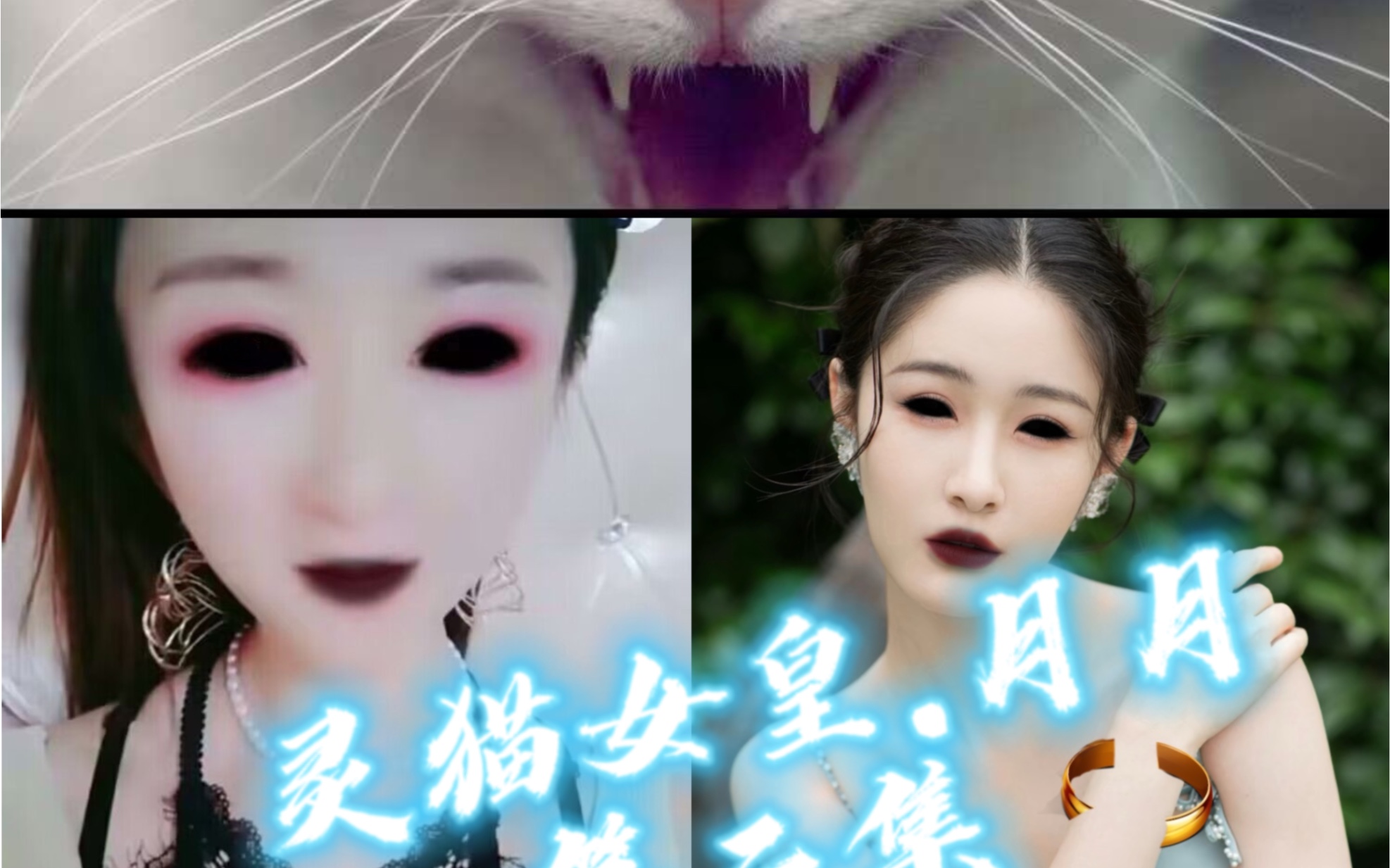 [图]灵猫女皇.月月 第二集