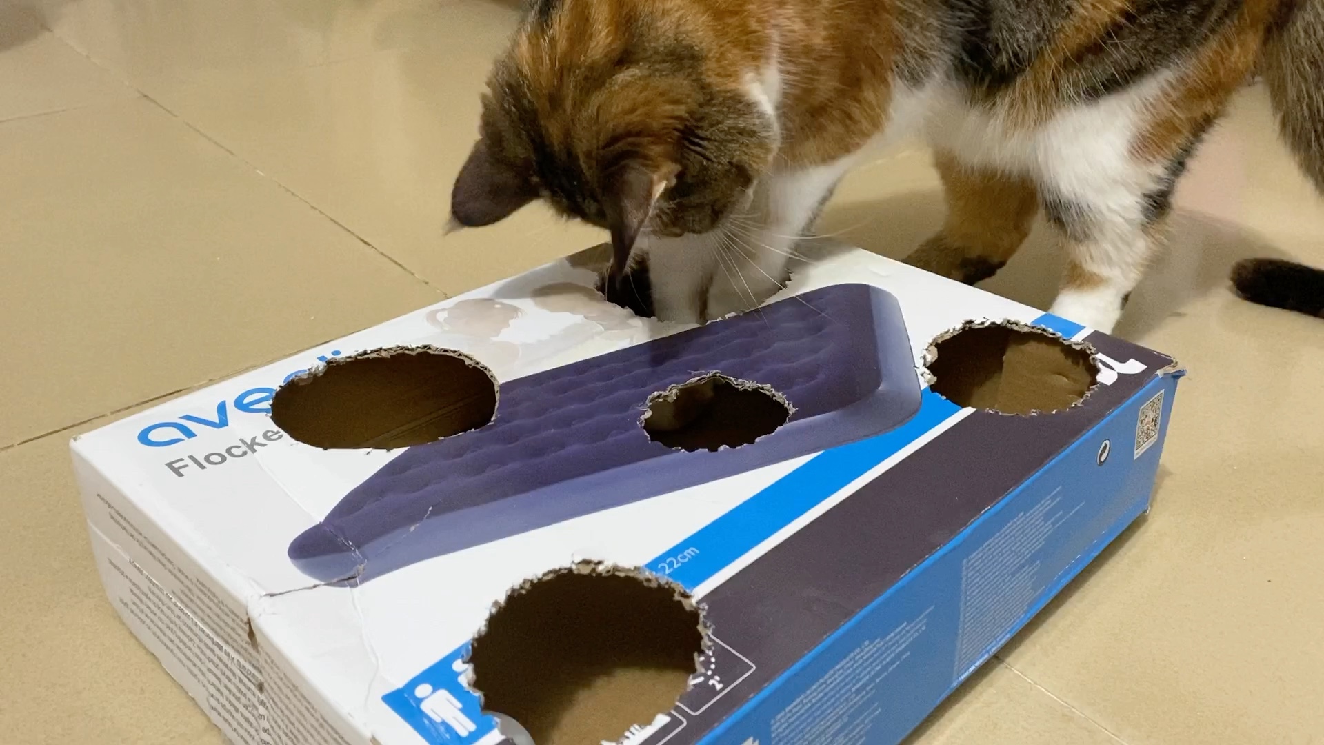 废弃纸箱之自制猫玩具