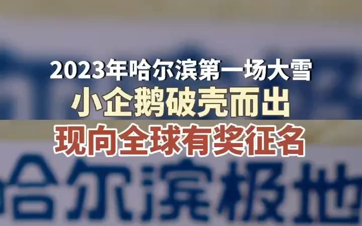 哈尔滨2023年的第一只企鹅宝宝诞生了,快来给它起个好听的名字吧!哔哩哔哩bilibili