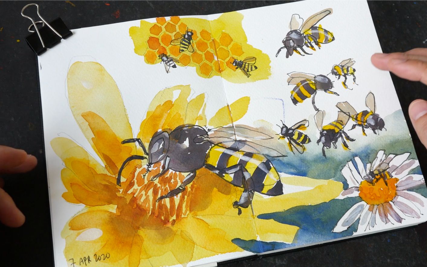 【水彩画】花间忙碌的蜜蜂 新手向