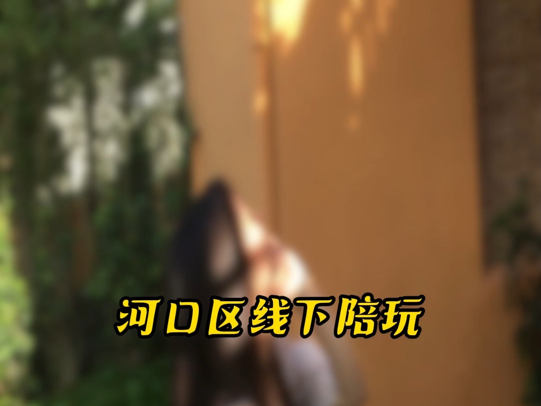 河口区线下陪玩#河口区#线下陪玩哔哩哔哩bilibili