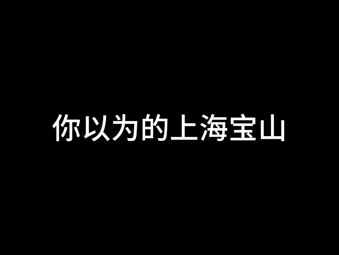 你以为的上海宝山哔哩哔哩bilibili