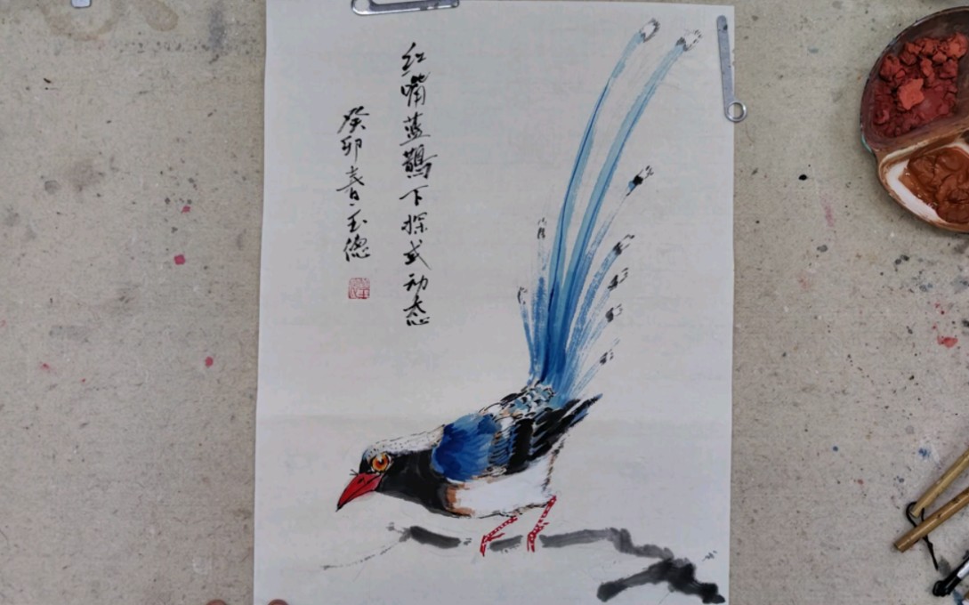 红嘴蓝鹊染色技法