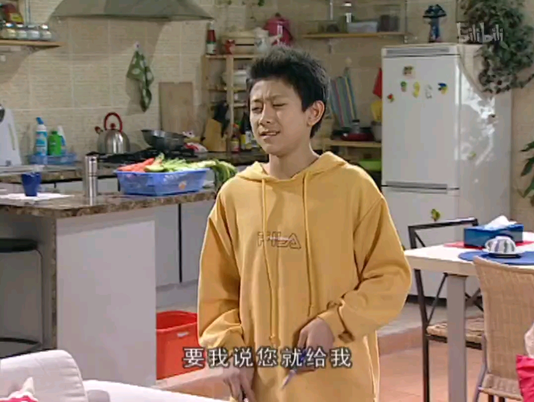 修理大师1 刘星成修理大师了 《家有儿女‖》