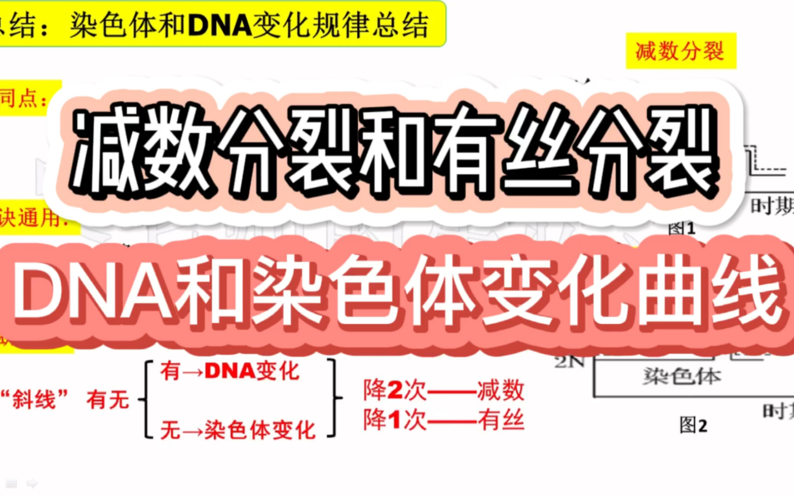 减数分裂和有丝分裂中DNA和染色体的变化曲线总结哔哩哔哩bilibili