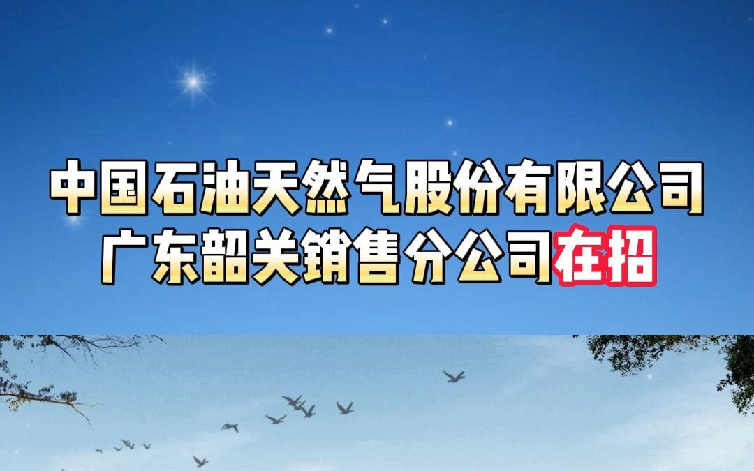 中国石油天然气股份有限公司广东韶关销售分公司哔哩哔哩bilibili