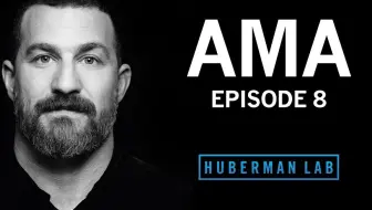 每天摄入咖啡因的利弊 摄入咖啡因的潜在副作用 【Huberman Lab】AMA#8 斯坦福大学教授安德鲁休伯曼