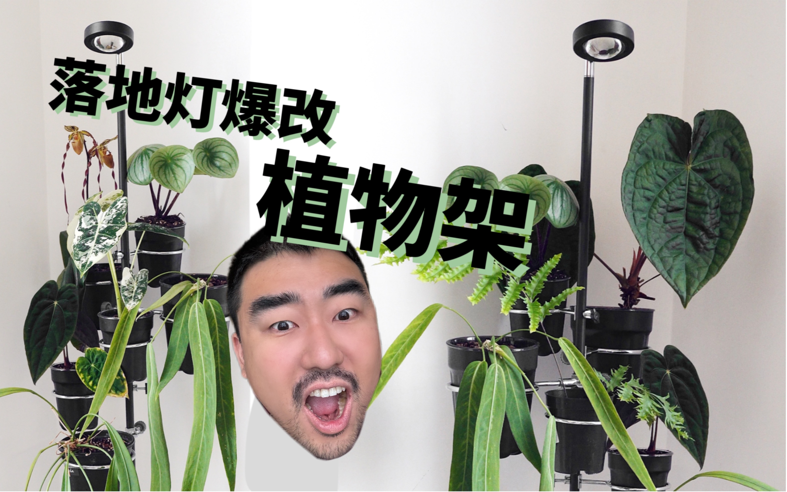 太心动了!自制植物架!省钱!省地!还补光!哔哩哔哩bilibili