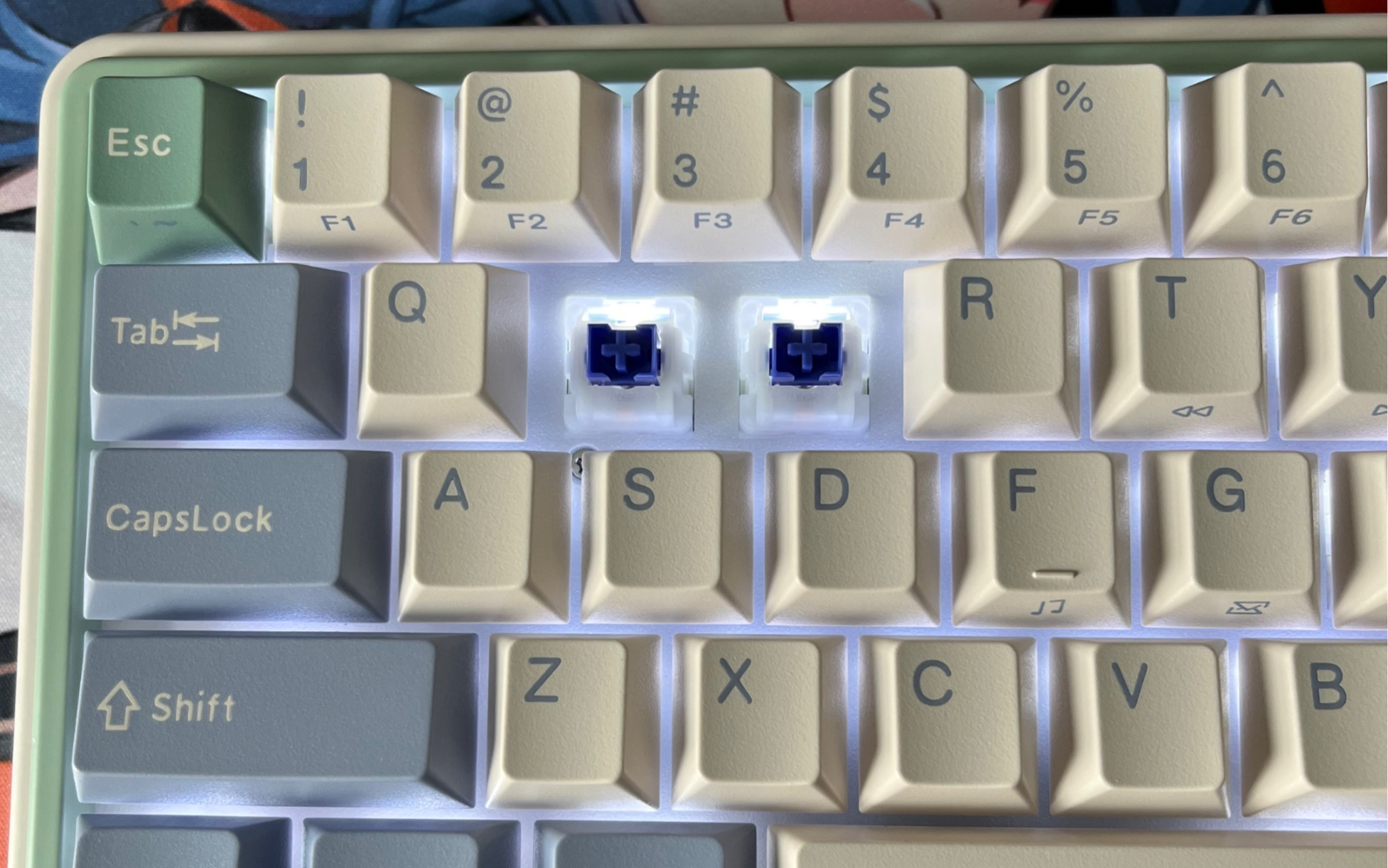 阿米洛minilo鸢尾蓝轴试打_哔哩哔哩_bilibili