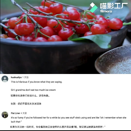 油管评论李子柒自制冰淇淋视频看完她的视频之后我觉得自己很懒