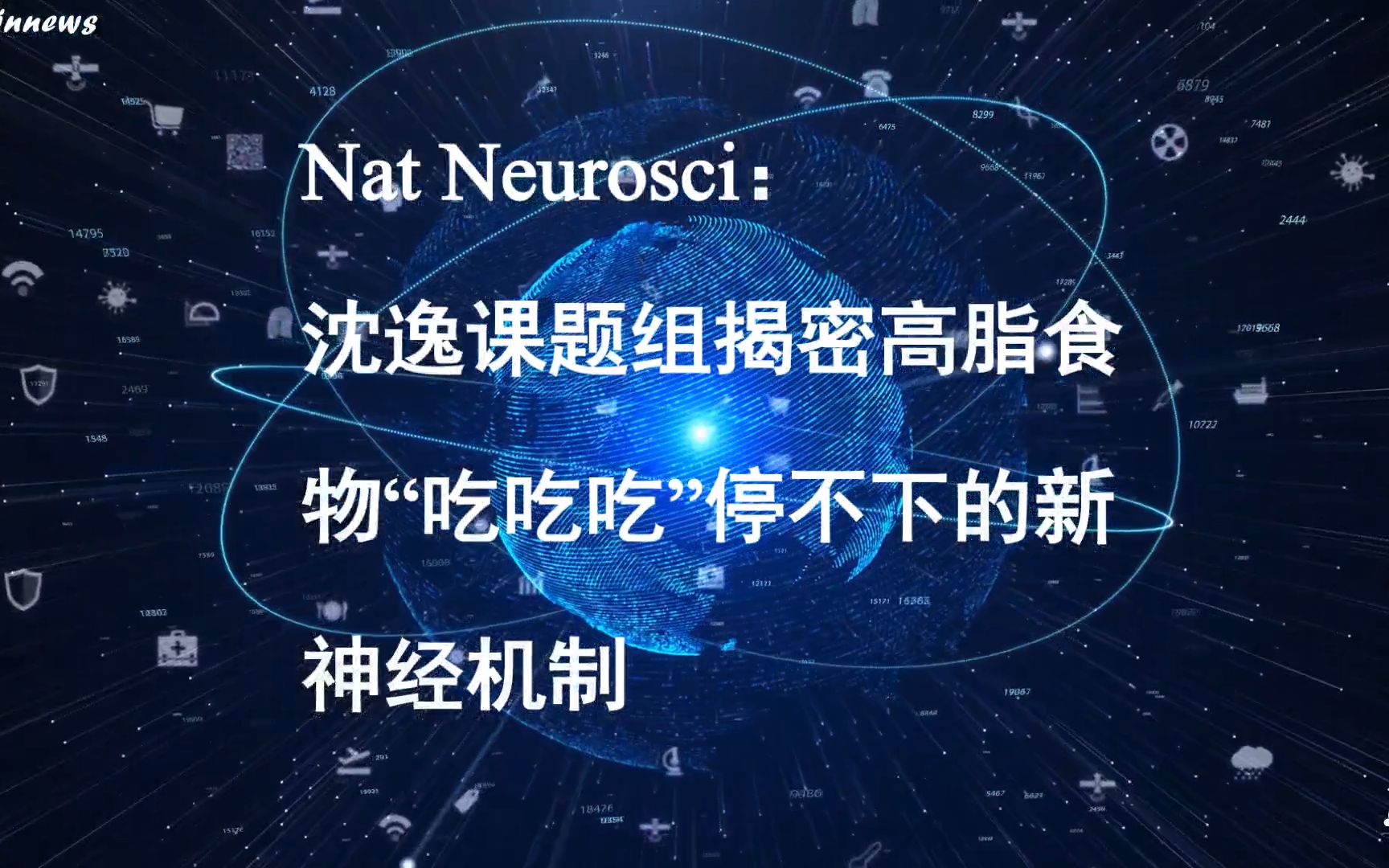 #Brainnews 【前沿快讯】Nat Neurosci:浙江大学周煜东/沈逸课题组揭密高脂食物“吃吃吃”停不下的新神经机制哔哩哔哩bilibili