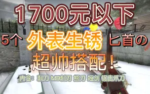 Download Video: 【好看不贵】1700元以下5个外表生绣匕首超帅搭配！不帅随你怎么说！（附实战）