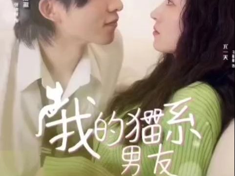 《我的猫系男友 198集高清全集》无删减哔哩哔哩bilibili