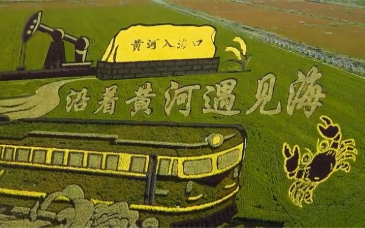 东营市垦利区:稻田画风景区为游客带来全新体验