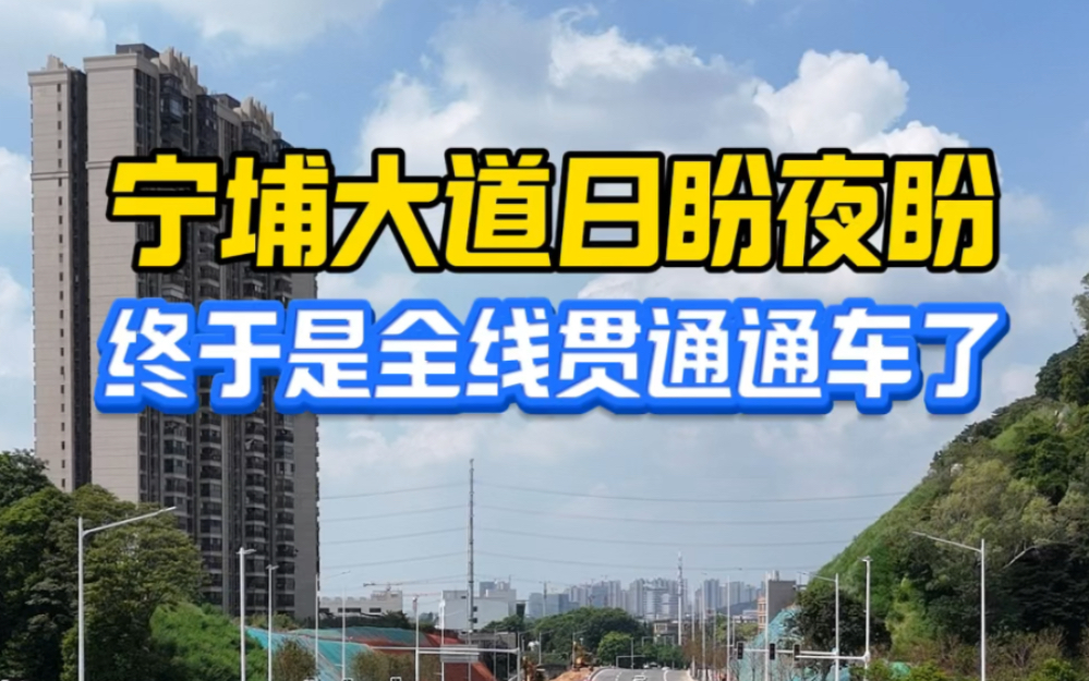 这条路终于是通车了,新塘的街坊邻居去科学城就比较方便了#新塘 #增城 #科学城#云埔#城市建设#宁埔大道#山水合悦#凤凰城#翡翠绿洲哔哩哔哩bilibili