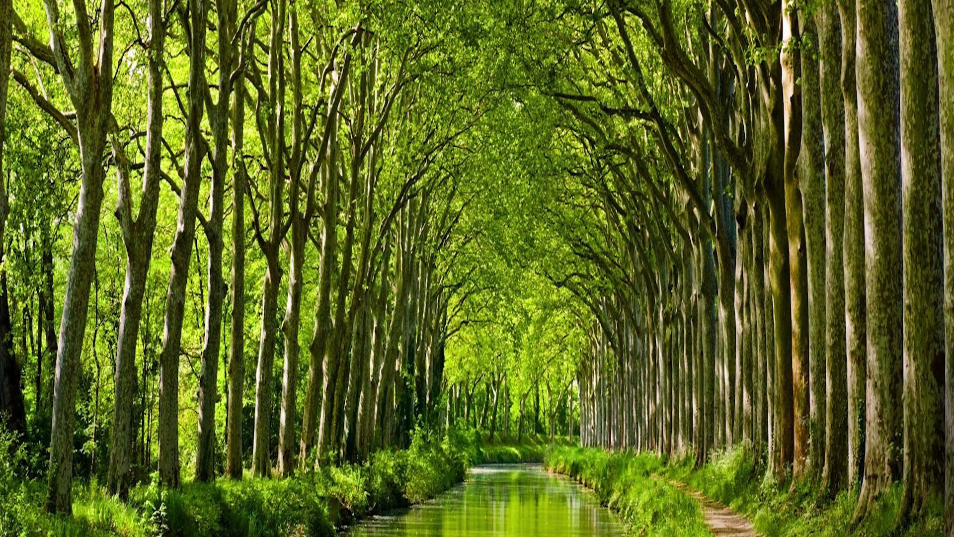 一首《蜿蜒的小路》通向心灵深处