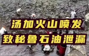 Скачать видео: 汤加火山喷发致秘鲁石油泄漏 志愿者油污中抢救野生动物