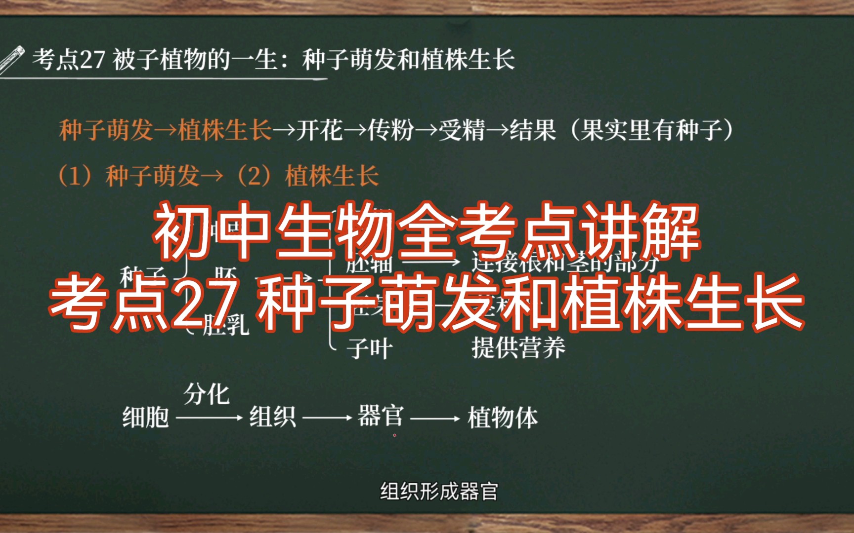 【初中生物全考点讲解|七上】考点27 被子植物的一生:种子萌发和植株生长哔哩哔哩bilibili