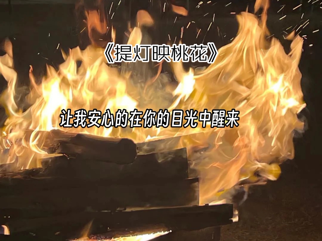 【提灯映桃花】哔哩哔哩bilibili