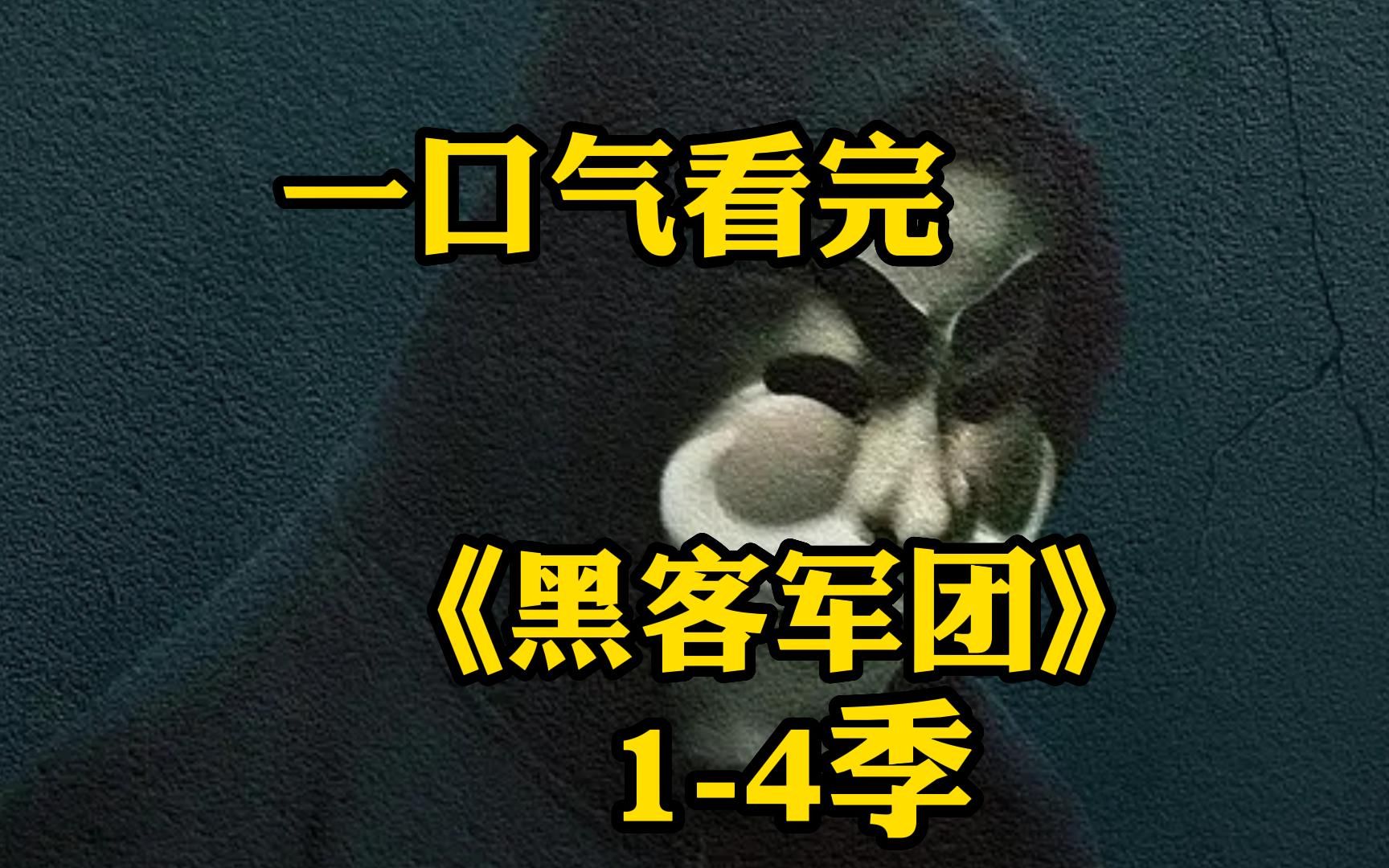 【黑客对决】14季全集讲解,纽约市网络安全工程师对抗大集团的故事哔哩哔哩bilibili