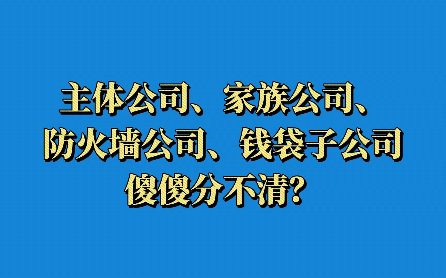 主体公司、家族公司、防火墙公司、钱袋子公司傻傻分不清?哔哩哔哩bilibili