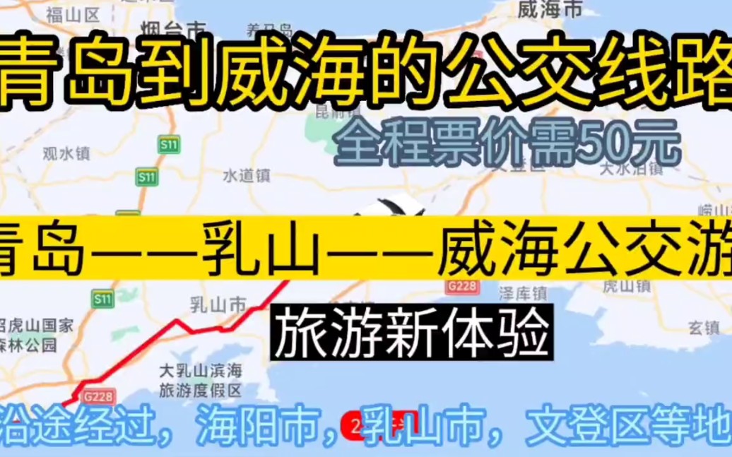 青岛开往威海的公交线路来了,全程票价仅50元,沿途经过;乳山哔哩哔哩bilibili