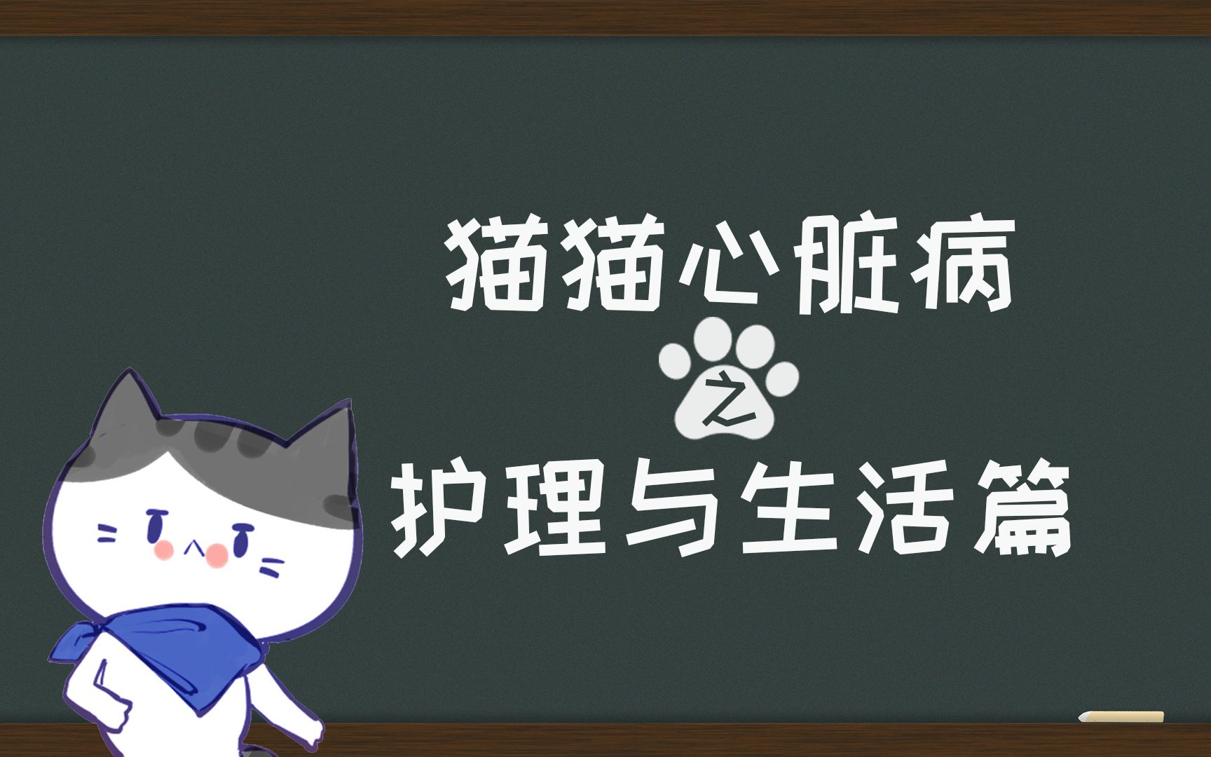 【叻猫精讲】猫咪:我只想和静静一起玩儿哔哩哔哩bilibili