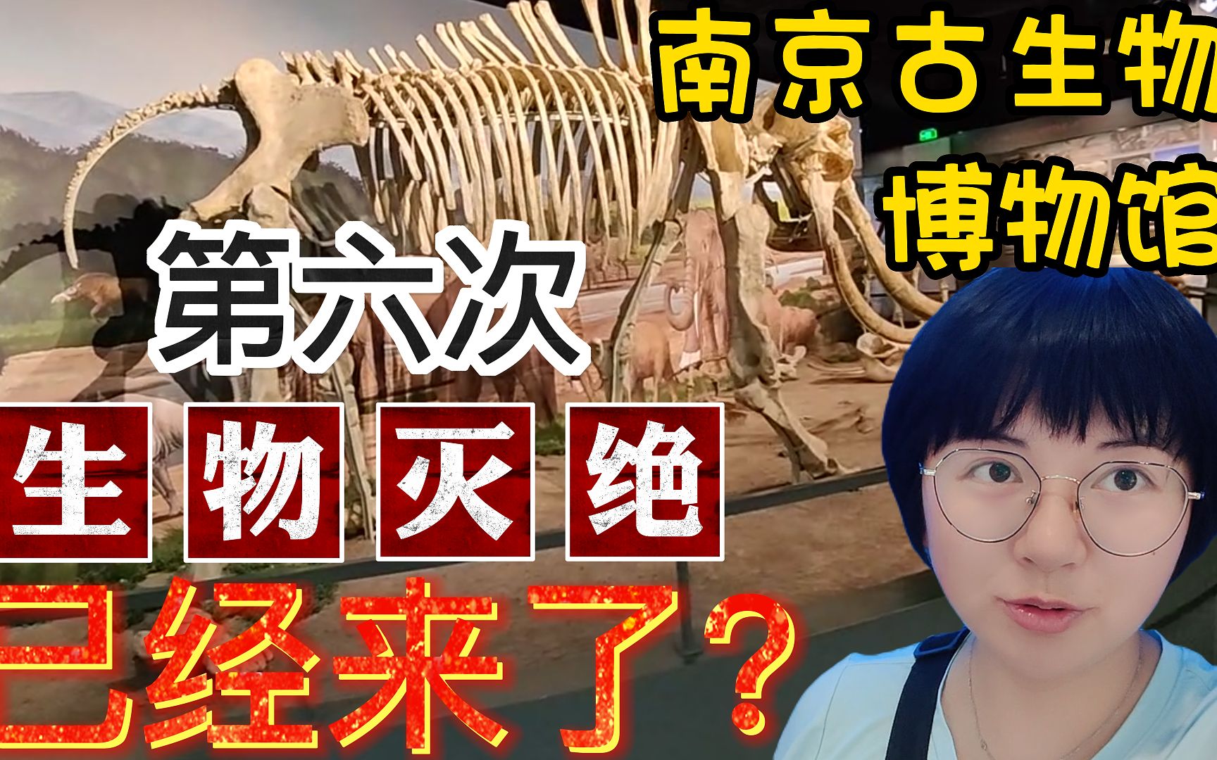 第六次生物灭绝已经来了?南京古生物博物馆攻略哔哩哔哩bilibili