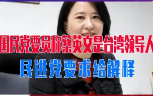 下载视频: 国民党出了一个女英雄，称蔡英文为台湾领导人，民进党要求给解释